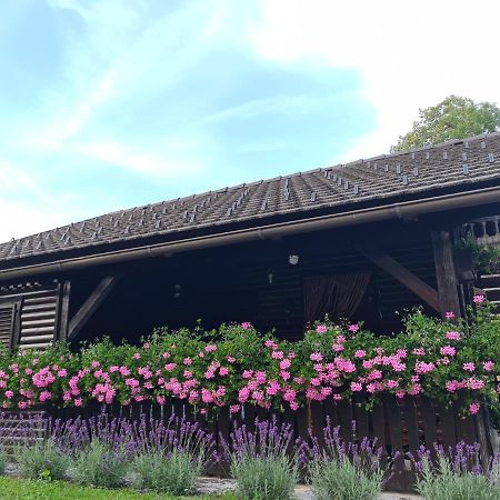 Amb Village Point Dob エクステリア 写真