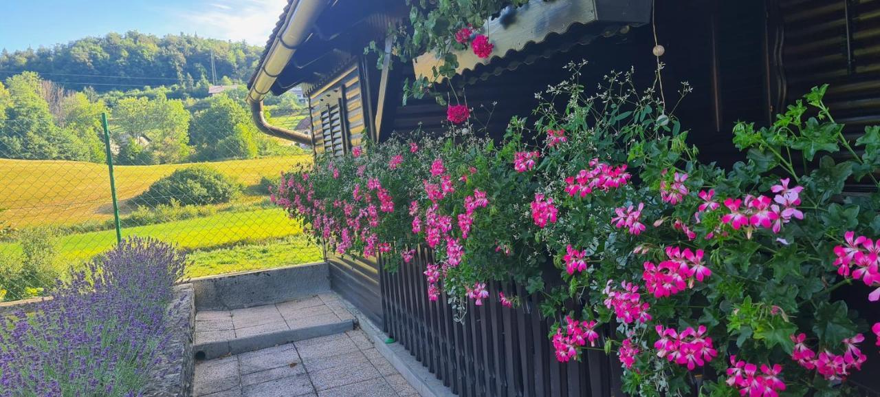 Amb Village Point Dob エクステリア 写真